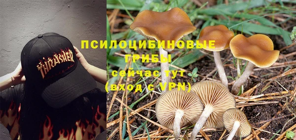 ALPHA-PVP Россошь