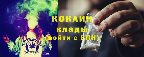 стафф Арсеньев