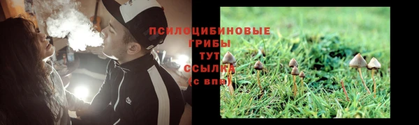 гашик Армянск