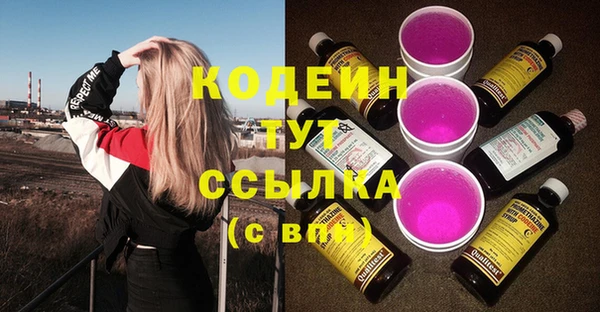 стафф Арсеньев