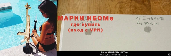 apvp Аркадак