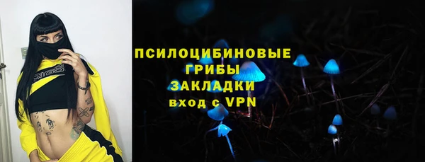 apvp Аркадак