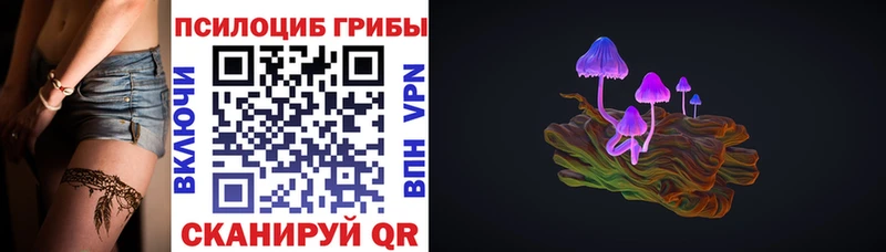 гидра онион  продажа наркотиков  Баксан  Псилоцибиновые грибы прущие грибы 