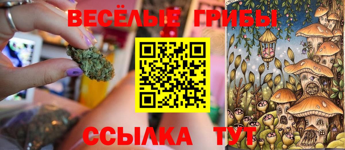 закладки  Вход с VPN  Баксан  Псилоцибиновые грибы прущие грибы 
