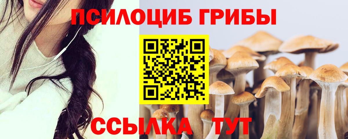 Псилоцибиновые грибы прущие грибы Баксан